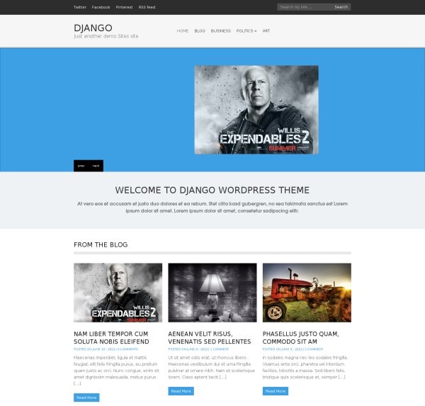 django-free-portfolio-wordpress-theme