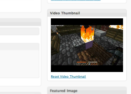 video thumbnails box in WordPress editor