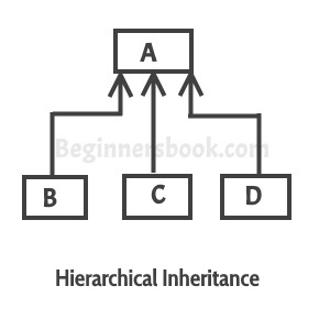 Hierarchical Inheritance In Java With Example Program