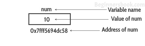 Pointers In C Programming With Examples C Pointer Example Problems ...