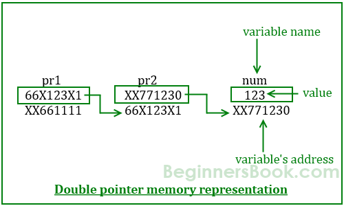 C - Pointer to Pointer (Double Pointer) with example