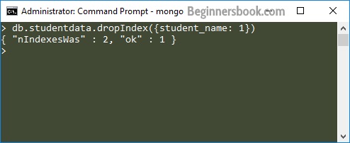 MongoDB Drop Index