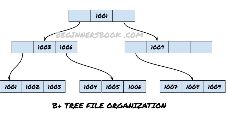 DBMS B+ Tree File Organization