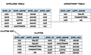 cluster file organization in dbms