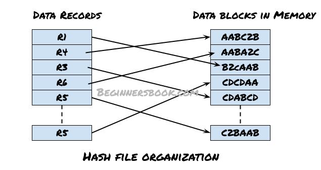 DBMS Hash File Organization