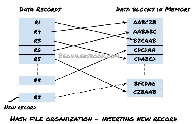 DBMS Hash File Organization