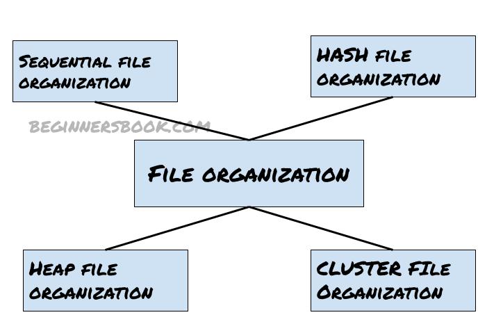 DBMS File Organization