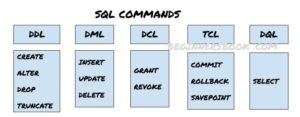 DBMS: SQL Commands DDL, DML, DCL, TCL, and DQL