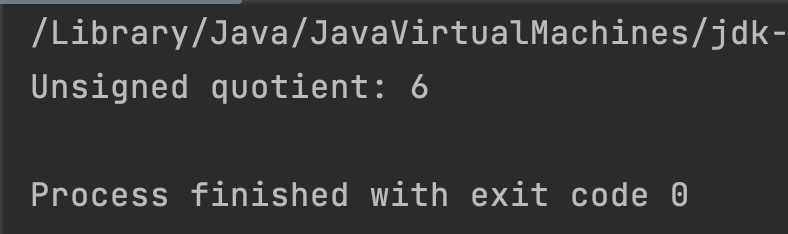 Java Integer divideUnsigned Example Output