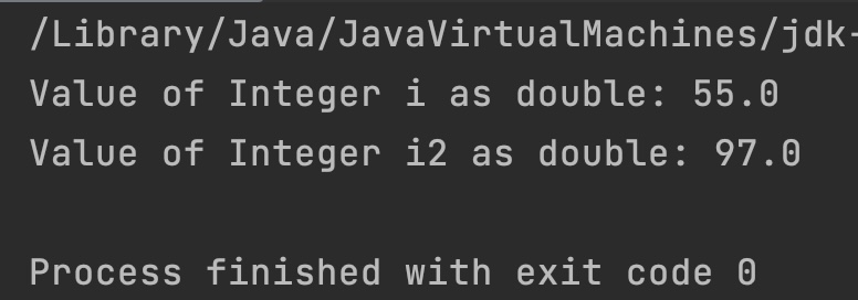 Java Integer doubleValue Ex Output
