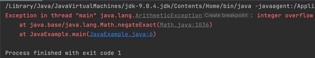 Java Math.negateExact() Example Output_3